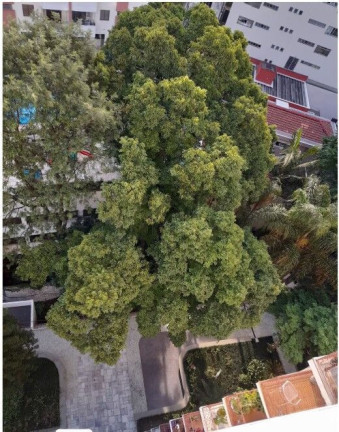 Imagem Apartamento com 1 Quarto à Venda, 42 m² em Vila Mariana - São Paulo Imagem Apartamento com 1 Quarto à Venda, 42 m² em Vila Mariana - São Paulo
