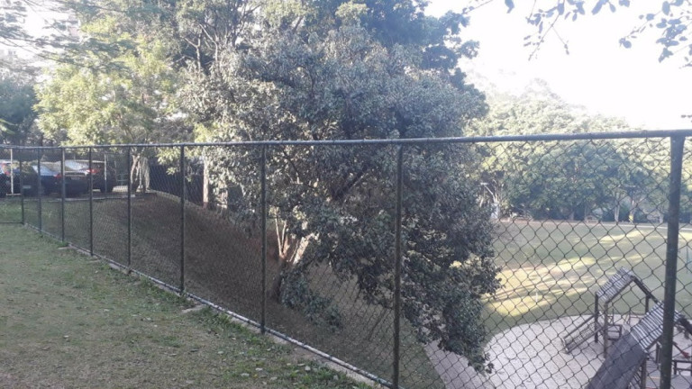 Imagem Apartamento com 3 Quartos à Venda, 59 m² em Vila Do Castelo - São Paulo