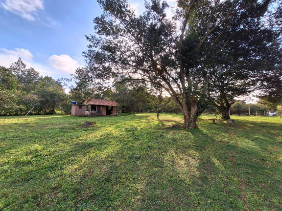Imagem Terreno à Venda, 3.200 m² em águas Claras - Viamão Imagem Terreno à Venda, 3.200 m² em águas Claras - Viamão