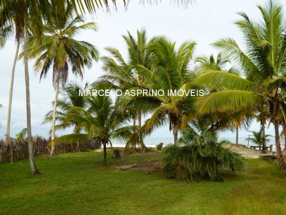 Imagem Imóvel à Venda, em Luzimares - Ilhéus Imagem Imóvel à Venda, em Luzimares - Ilhéus