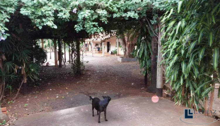 Imagem Imóvel com 5 Quartos à Venda, 590 m² em Recreio Das Acácias - Ribeirão Preto Imagem Imóvel com 5 Quartos à Venda, 590 m² em Recreio Das Acácias - Ribeirão Preto