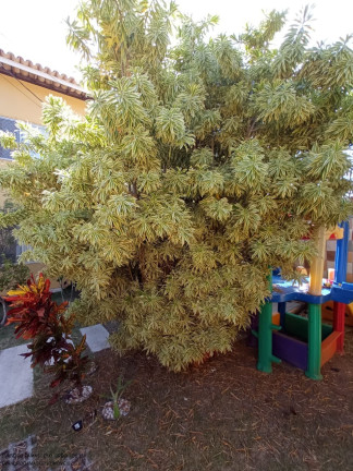 Imagem Casa com 5 Quartos à Venda, 160 m² em Pitangueiras - Lauro De Freitas