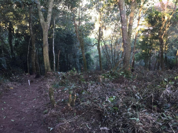Imagem Terreno à Venda, 1.327 m² em Pilar Velho - Ribeirão Pires