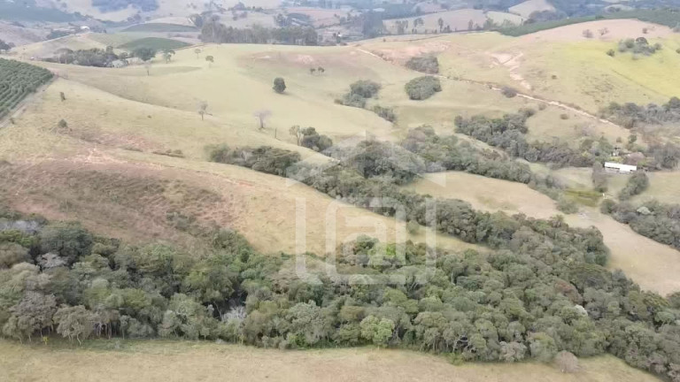 Imagem Imóvel com 2 Quartos à Venda, 29 m² em Pessegueiros - Campestre Imagem Imóvel com 2 Quartos à Venda, 29 m² em Pessegueiros - Campestre