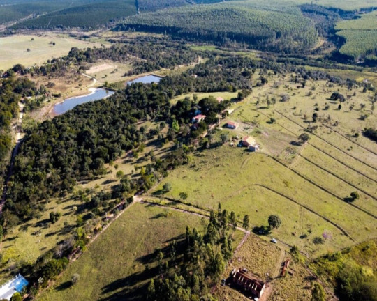 Imagem Chácara à Venda, 5.000 m² em Vale Da Castelo - Pardinho Imagem Chácara à Venda, 5.000 m² em Vale Da Castelo - Pardinho
