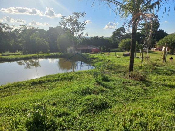 Imagem Fazenda à Venda, 65.340 m² em Bonfim - Pirassununga Imagem Fazenda à Venda, 65.340 m² em Bonfim - Pirassununga