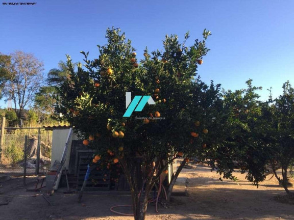 Imagem Fazenda à Venda, 5.000 m² em Encontro Das águas - Esmeraldas Imagem Fazenda à Venda, 5.000 m² em Encontro Das águas - Esmeraldas