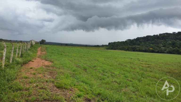 Imagem Terreno à Venda, 81.332 m² em Colônia Dona Luíza - Ponta Grossa