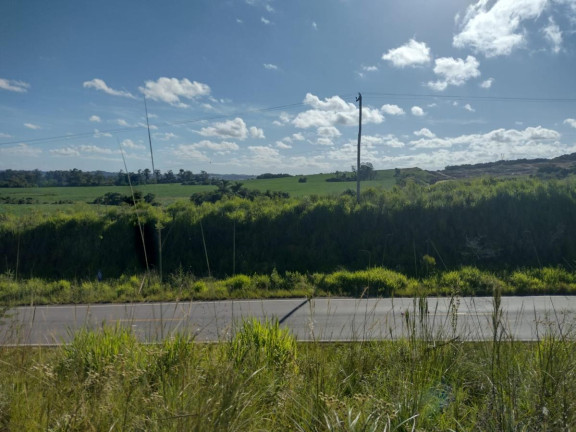 Imagem Terreno à Venda, 20.000 m² em Alto Perequê - Arroio Do Padre