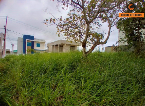 Imagem Terreno à Venda, 300 m² em Alto Do Bosque - Lauro De Freitas Imagem Terreno à Venda, 300 m² em Alto Do Bosque - Lauro De Freitas