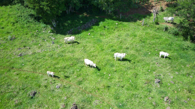 Imagem Terreno à Venda, 101.000 m² em Rodovia - Arabuta Imagem Terreno à Venda, 101.000 m² em Rodovia - Arabuta