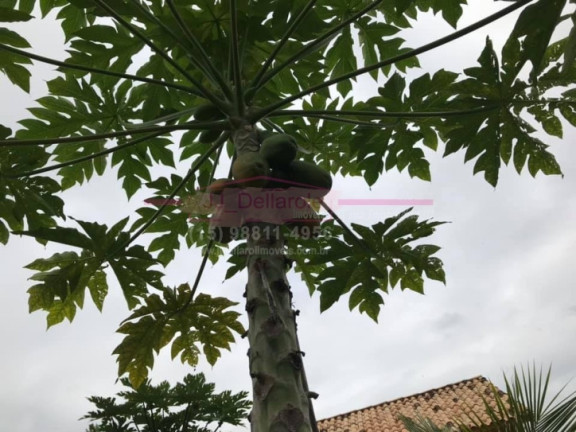 Imagem Chácara com 5 Quartos à Venda, 600 m² em Jardim Flamboyant - Boituva