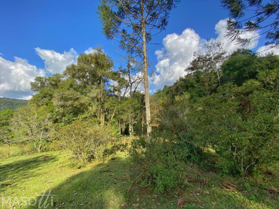 Imagem Chácara com 4 Quartos à Venda, 120.000 m² em Centro - Santa Maria Do Herval Imagem Chácara com 4 Quartos à Venda, 120.000 m² em Centro - Santa Maria Do Herval