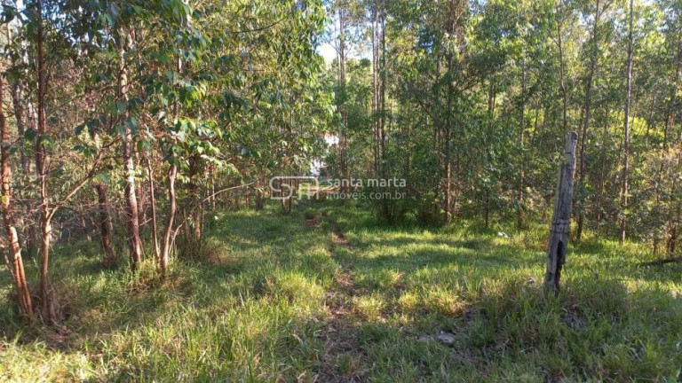 Imagem Imóvel com 2 Quartos à Venda, 280 m² em Branco - Lavrinhas Imagem Imóvel com 2 Quartos à Venda, 280 m² em Branco - Lavrinhas