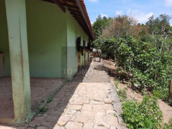 Imagem Chácara com 3 Quartos à Venda, 229 m² em Centro - Santa Branca