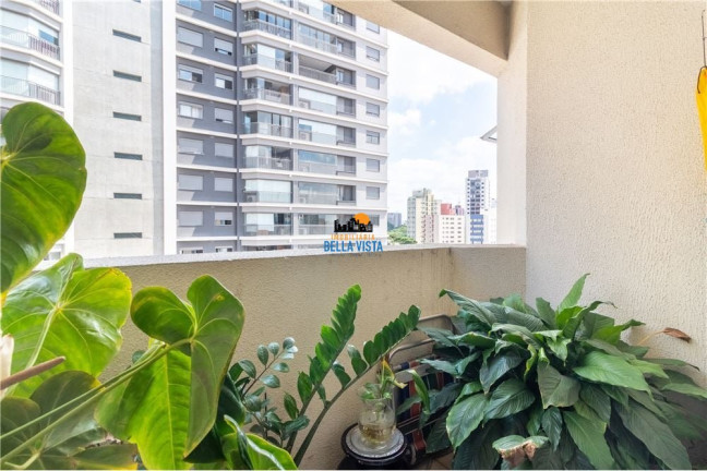 Imagem Apartamento com 2 Quartos à Venda, em Jabaquara - São Paulo Imagem Apartamento com 2 Quartos à Venda, em Jabaquara - São Paulo
