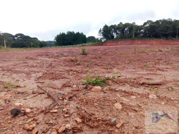 Imagem Terreno à Venda, 4.411 m² em Campo Largo Da Roseira - São José Dos Pinhais