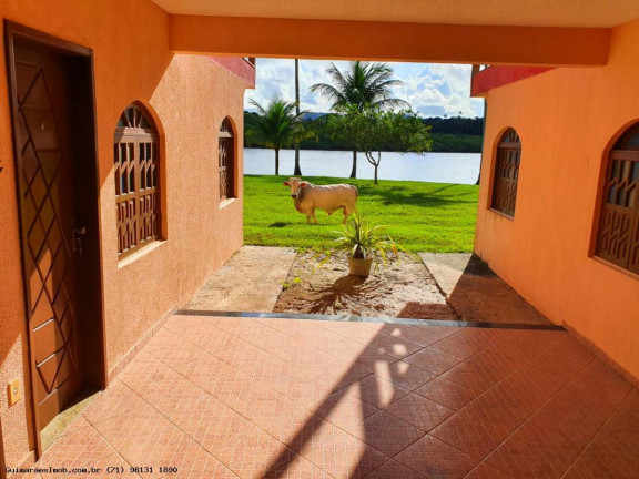 Imagem Chácara à Venda, 10 m² em São Roque Do Paraguaçu - Maragogipe