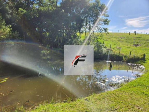 Imagem Chácara com 3 Quartos à Venda, 305.000 m² em Zona Rural - Tijucas Do Sul