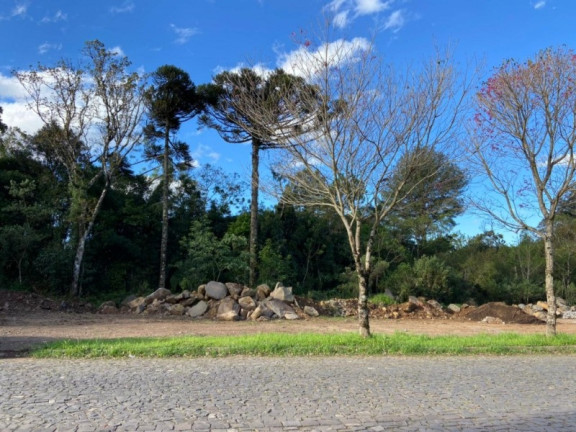 Imagem Terreno à Venda, 670 m² em Vila Germania - Nova Petrópolis Imagem Terreno à Venda, 670 m² em Vila Germania - Nova Petrópolis