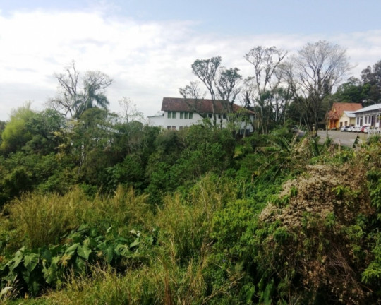 Imagem Imóvel à Venda, 7.477 m² em Vila Olinda - Nova Petrópolis Imagem Imóvel à Venda, 7.477 m² em Vila Olinda - Nova Petrópolis