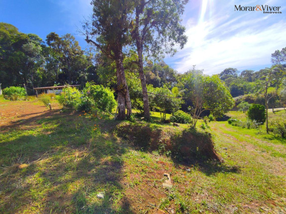 Imagem Imóvel com 2 Quartos à Venda, 7.724 m² em Loteamento Chácara Chantecler - Piraquara Imagem Imóvel com 2 Quartos à Venda, 7.724 m² em Loteamento Chácara Chantecler - Piraquara
