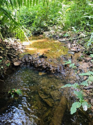Imagem Terreno à Venda, 500.000 m² em Florada Raizes - Cotia Imagem Terreno à Venda, 500.000 m² em Florada Raizes - Cotia
