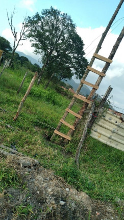 Imagem Terreno à Venda, 350 m² em Vila Atlântica - Mongaguá