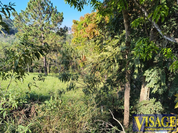 Imagem Terreno à Venda,  em Chácaras Reunidas Igarapés - Jacareí