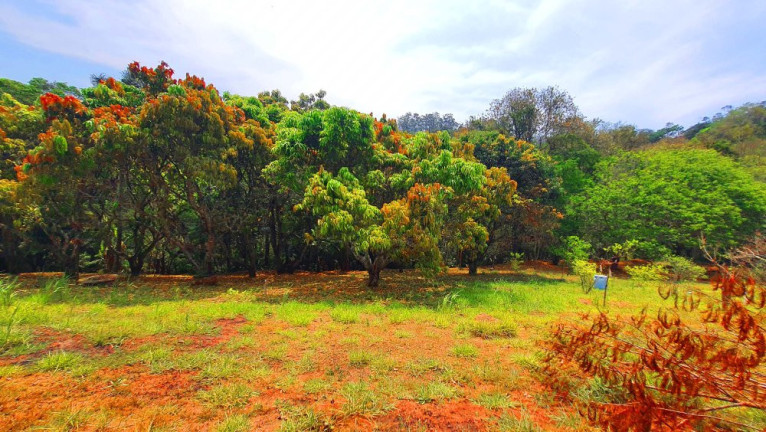 Imagem Imóvel à Venda, 557 m² em Loteamento Bosque Dos Palmares - Atibaia Imagem Imóvel à Venda, 557 m² em Loteamento Bosque Dos Palmares - Atibaia