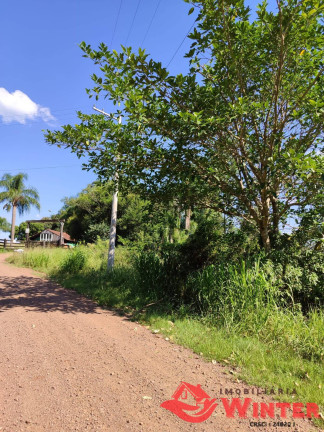 Imagem Chácara à Venda, 5 m² em Canto Lippert - Linha Nova Imagem Chácara à Venda, 5 m² em Canto Lippert - Linha Nova