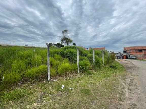 Imagem Terreno à Venda, 3.600 m² em Jardim Cerejeiras - Arujá