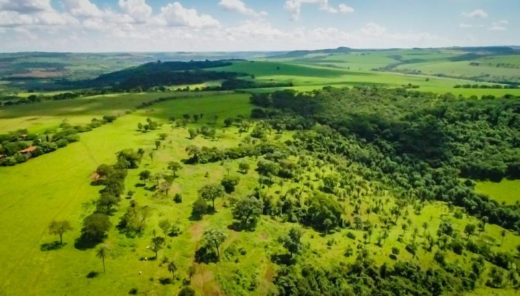 Imagem Fazenda à Venda, 2.000 m² em Zona Rural - Conquista Imagem Fazenda à Venda, 2.000 m² em Zona Rural - Conquista