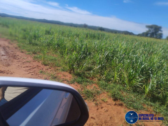 Imagem Fazenda à Venda, 219 m² em Zona Rural - Montes Claros De Goiás Imagem Fazenda à Venda, 219 m² em Zona Rural - Montes Claros De Goiás