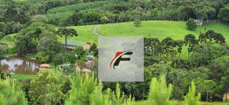 Chácara com 3 Quartos à Venda, 305.000 m² em Zona Rural - Tijucas Do Sul