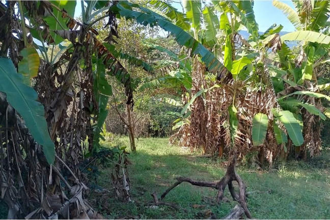 Imagem Terreno à Venda, 2.729 m² em Guaratiba - Rio De Janeiro Imagem Terreno à Venda, 2.729 m² em Guaratiba - Rio De Janeiro