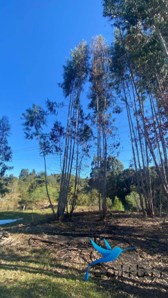 Imagem Chácara com 3 Quartos à Venda, 9.750 m² em Ribeirão Grande - Agudos Do Sul Imagem Chácara com 3 Quartos à Venda, 9.750 m² em Ribeirão Grande - Agudos Do Sul