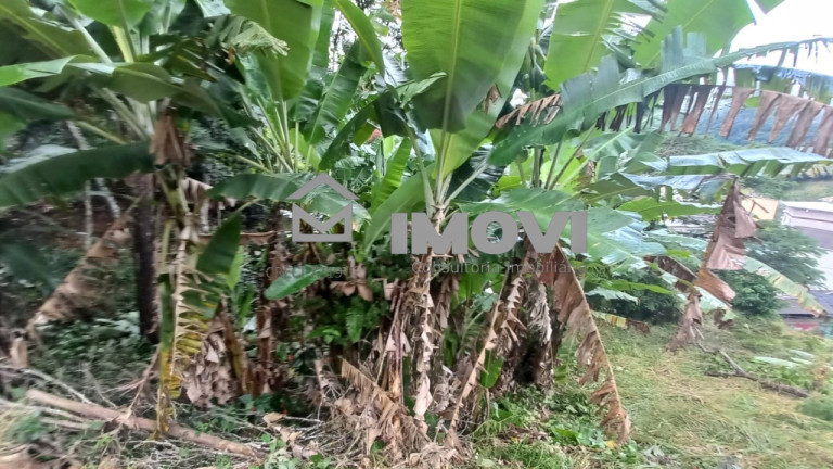Imagem Terreno à Venda, 1.165 m² em Centro - Domingos Martins Imagem Terreno à Venda, 1.165 m² em Centro - Domingos Martins