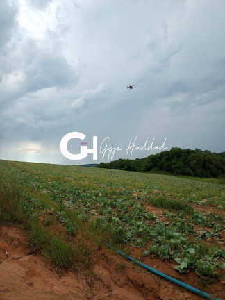 Imagem Terreno à Venda, 10 m² em Colégio - Ibiúna