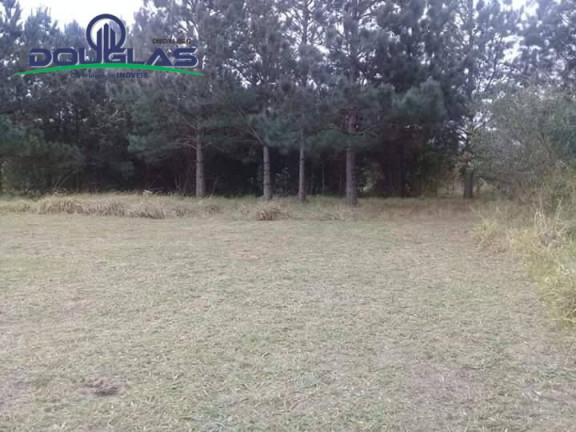 Imagem Casa à Venda, em Viamão Imagem Casa à Venda, em Viamão