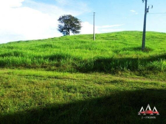 Imagem Fazenda à Venda, 324 m² em Zona Rural - Nova Brasilândia Imagem Fazenda à Venda, 324 m² em Zona Rural - Nova Brasilândia