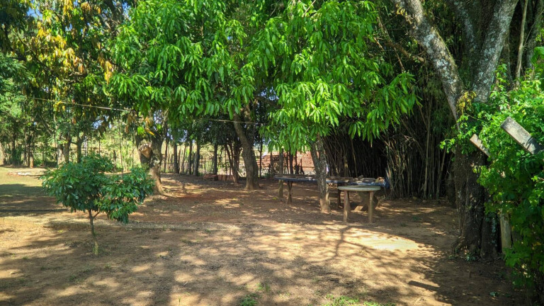 Imagem Chácara com 2 Quartos à Venda, 1.400 m² em Centro - Capela Do Alto Imagem Chácara com 2 Quartos à Venda, 1.400 m² em Centro - Capela Do Alto