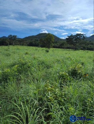 Imagem Fazenda à Venda, 14 m² em Zona Rural - Araguapaz Imagem Fazenda à Venda, 14 m² em Zona Rural - Araguapaz