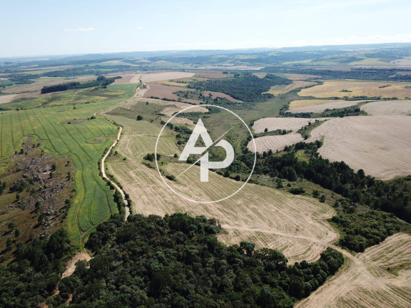 Imagem Fazenda à Venda, 19 m² em Palmeira