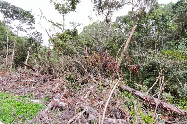 Imagem Terreno à Venda, 375 m² em Pontal Do Norte - Itapoá