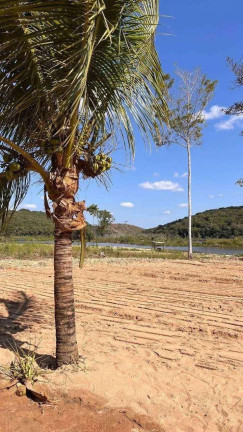 Imagem Chácara à Venda, 1.000 m² em Bom Jesus Do Galho