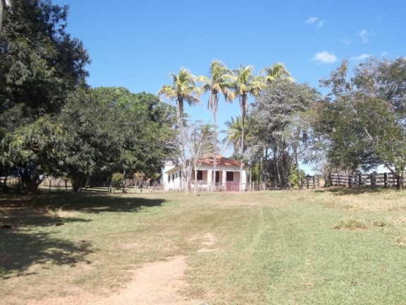 Imagem Fazenda à Venda, 222 m² em Zona Rural - Professor Jamil Imagem Fazenda à Venda, 222 m² em Zona Rural - Professor Jamil
