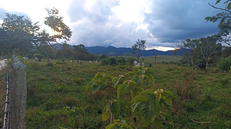 Imagem Fazenda à Venda, 100 m² em Estiva - Taubaté Imagem Fazenda à Venda, 100 m² em Estiva - Taubaté