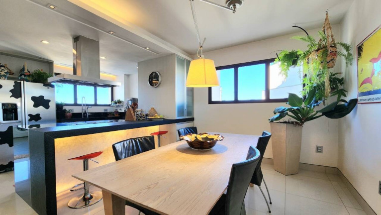 Imagem Apartamento com 4 Quartos à Venda, 533 m² em Cambuí - Campinas