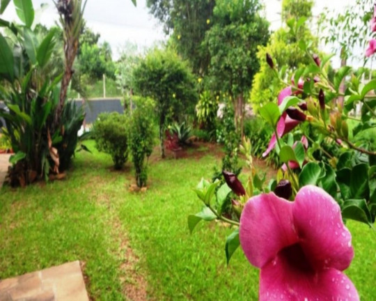 Imagem Imóvel com 3 Quartos à Venda, em Vila Da Cunha - Ivoti Imagem Imóvel com 3 Quartos à Venda, em Vila Da Cunha - Ivoti